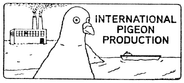 International Pigeon Production